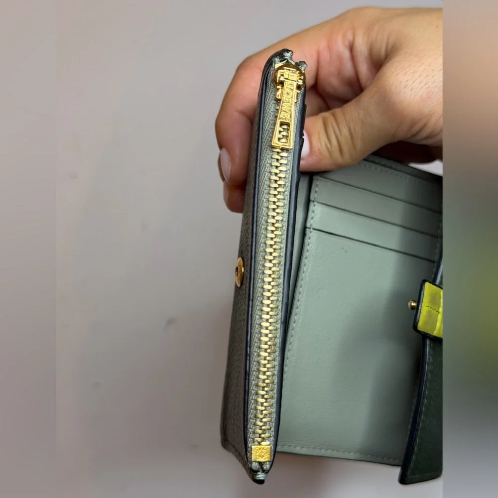 Loewe Small Vertical Wallet Green/Lime Yellow Grained Calf Leather